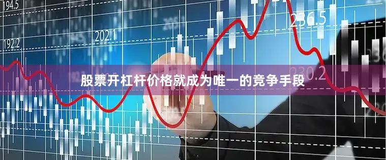 股票开杠杆价格就成为唯一的竞争手段